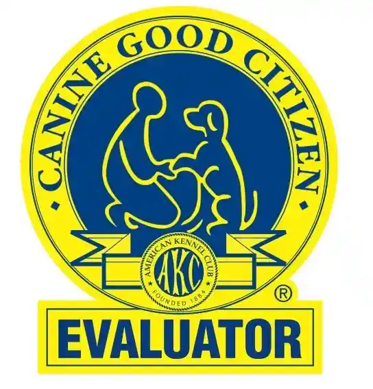 CGC Evaluator