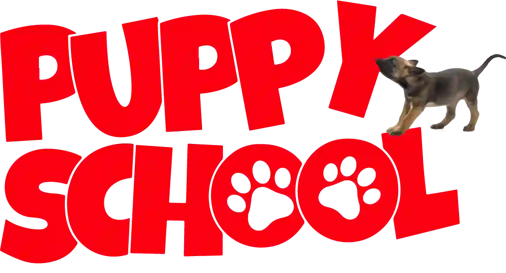 Puppy School
